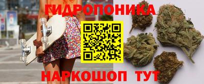 прущие крисы Мариинск