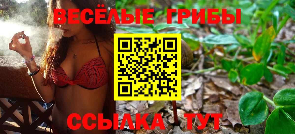 Псилоцибиновые грибы прущие грибы Жуковский