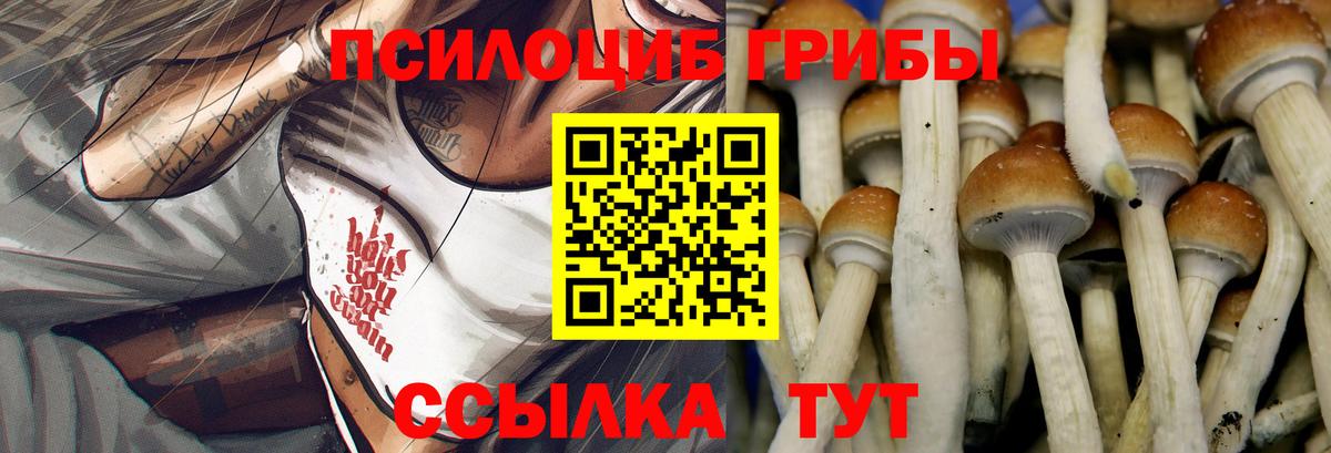 Галлюциногенные грибы MAGIC MUSHROOMS  Вход с VPN  Жуковский  Галлюциногенные грибы Cubensis 